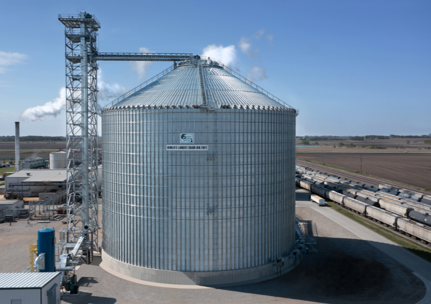 Untitled design (21)-1-1-1